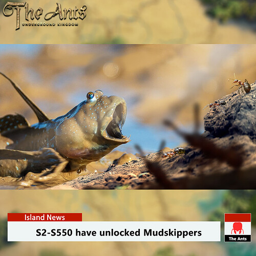 S2-S550 Mudskippers