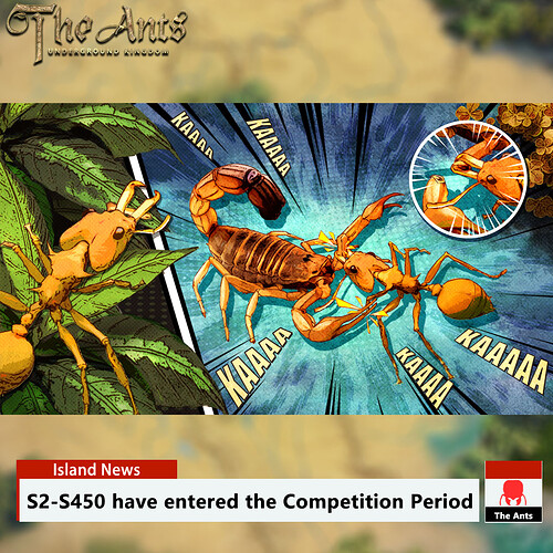 Competition Period