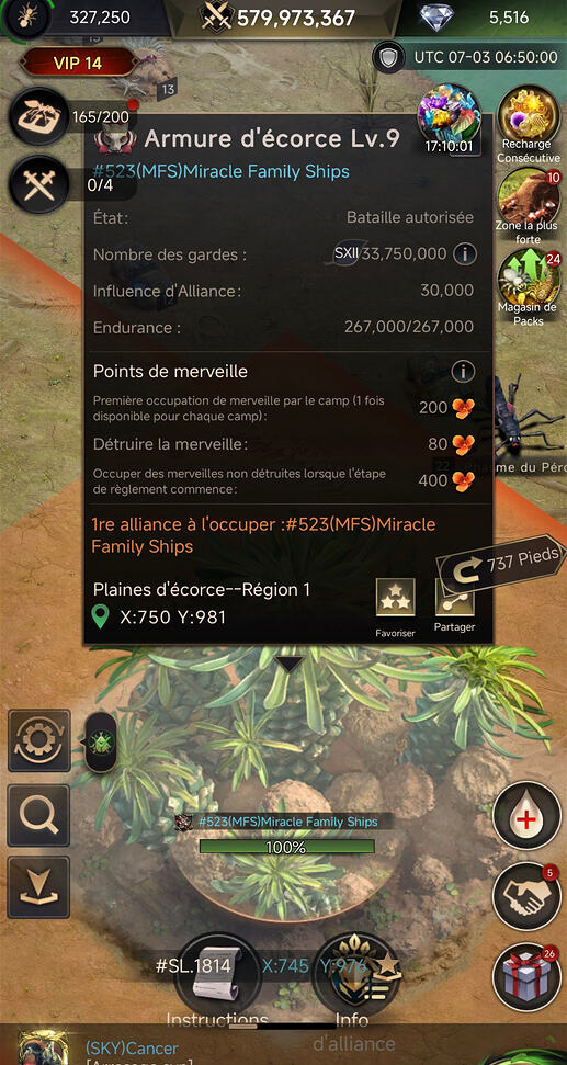 Merveille lvl 9