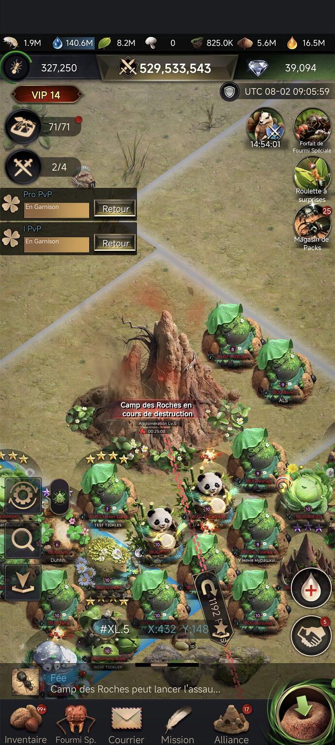 BUG