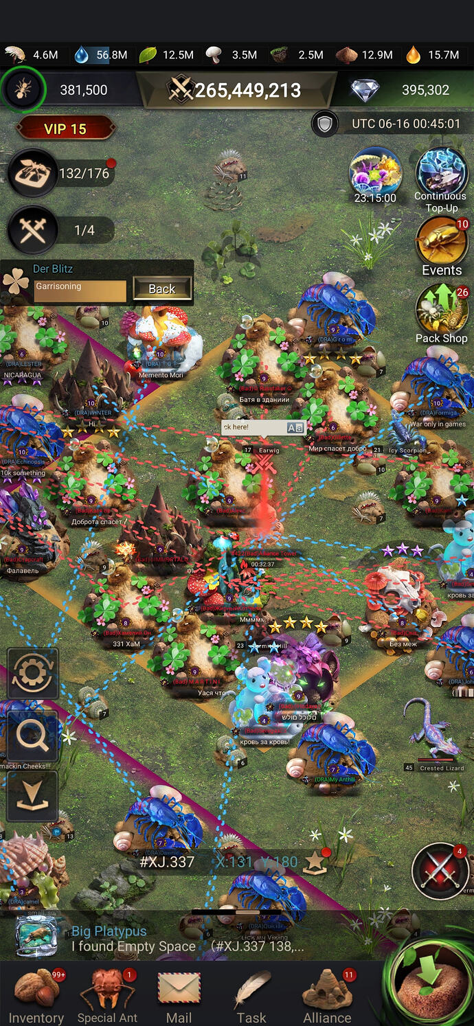 22894