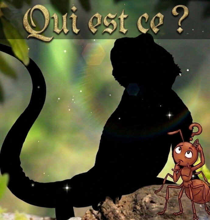 qui est ce